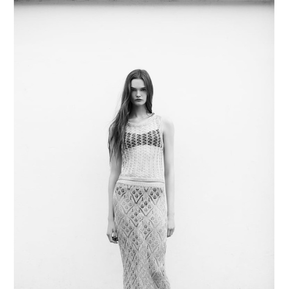 Zara silver mesh Metallic thread skirt 1014/827 nwt - Picture 3 of 6